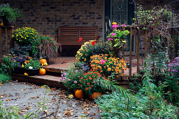 sur le jardin - autumn pumpkin flower food photos et images de collection