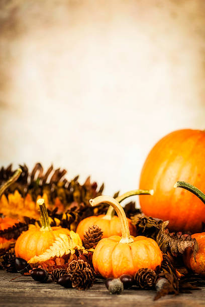 istock Autumnal Thanksgiving Arrangement 187440574