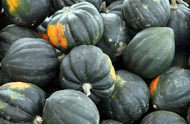 Acorn Squash at the Farmers Market Bin holding a large amount of fresh picked Acorn squash acorn squash stock pictures, royalty-free photos & images