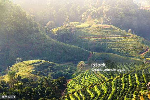 Bela Luz Do Sol Montanhas Em Dia Nublado - Fotografias de stock e mais imagens de Província de Chiang Mai - Província de Chiang Mai, Encosta, Quinta