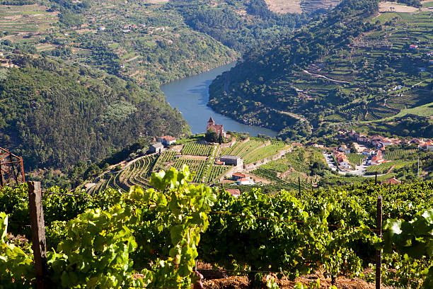 istock Over head view of Douro valley 187443967