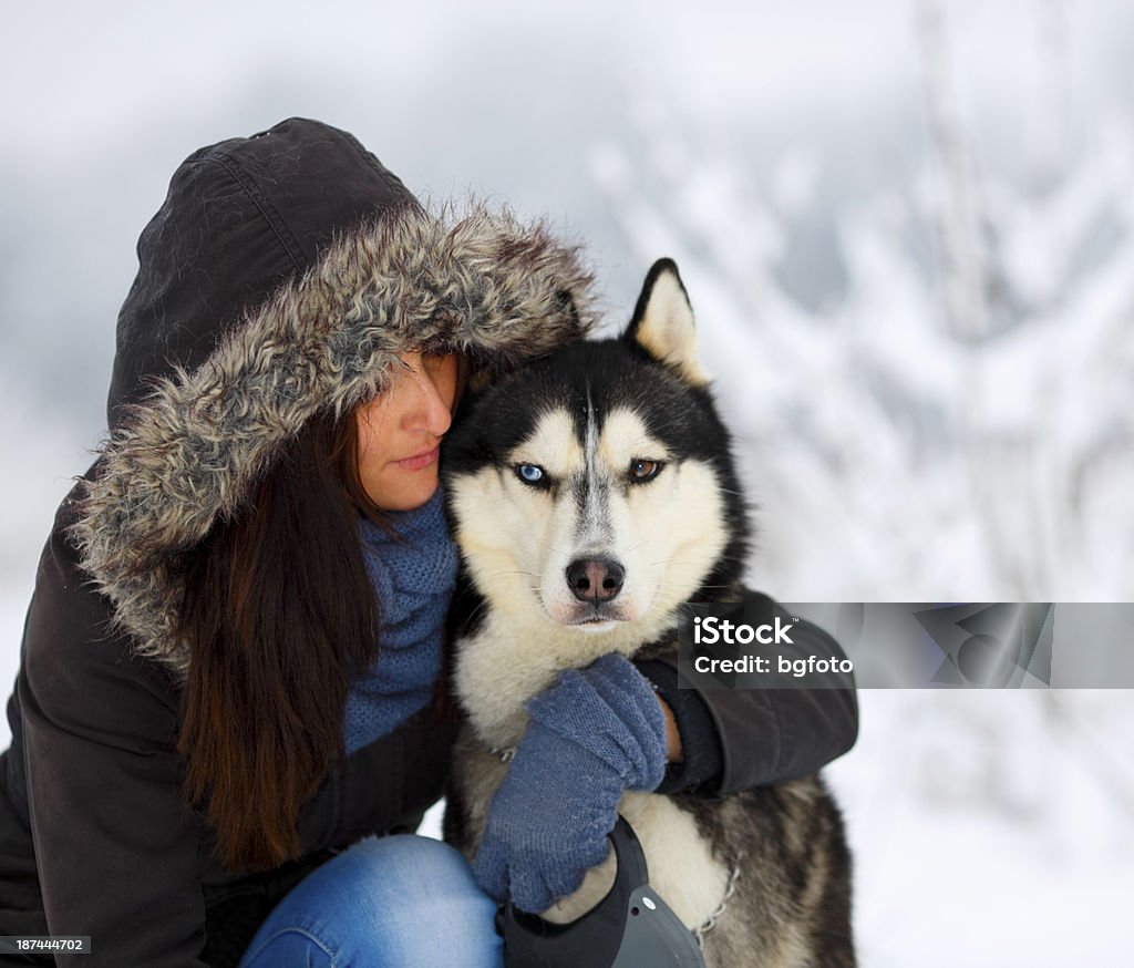 Amistad - Foto de stock de Husky Siberiano libre de derechos