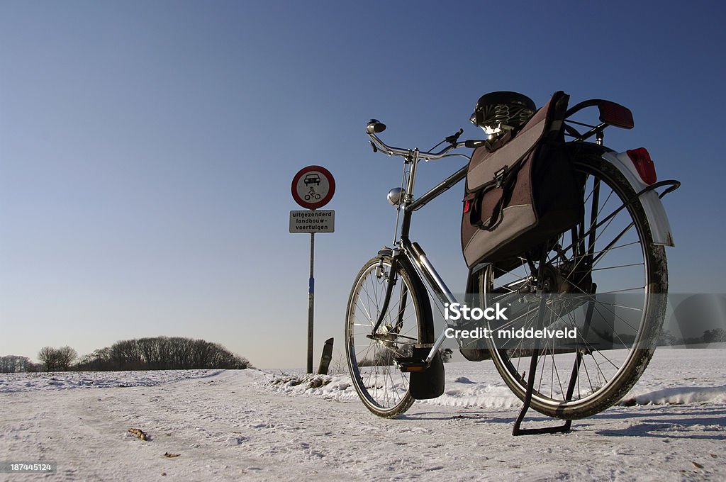 Kurier w zimie landcape - Zbiór zdjęć royalty-free (Bicykl)