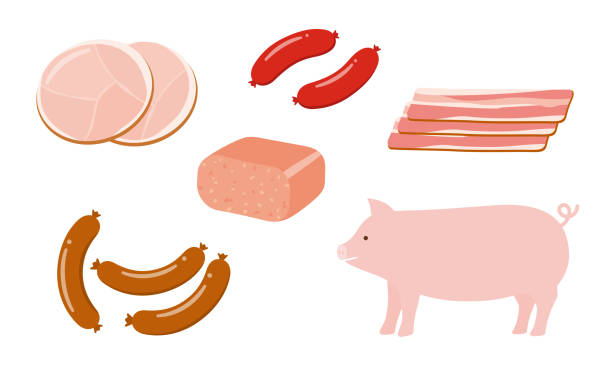 Processed pork products Processed pork products spam meat stock illustrations