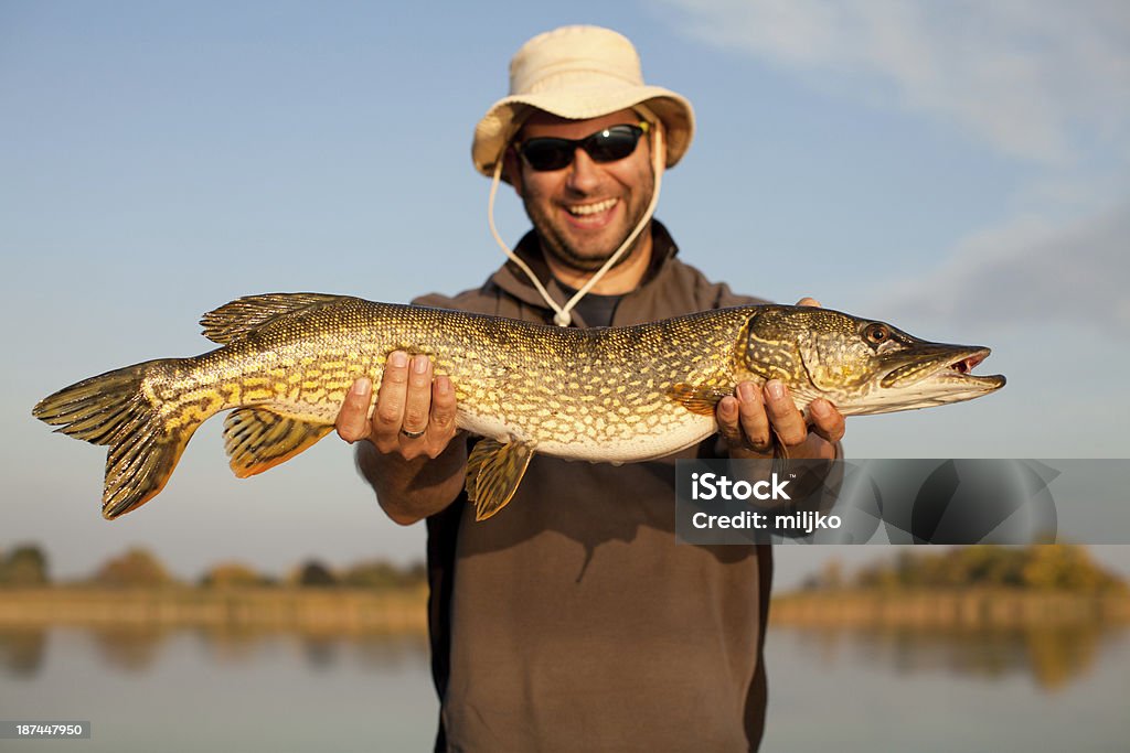 Big pike catched - Foto stock royalty-free di Pesce