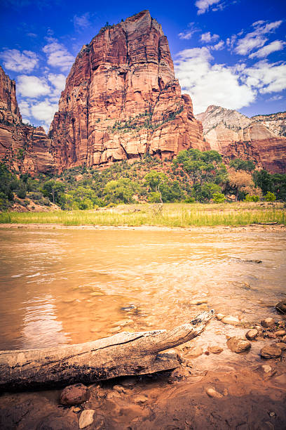 Angels Landing in Zion National Park, Utah, from the Virgn River. Angels Landing is at the top of the red sandstone cliffs and provides views of the whole of Zion Canyon.