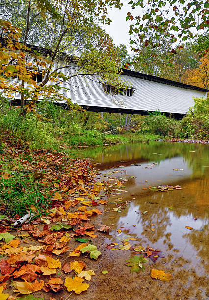 Portland Mills Covered Bridge in Autumn Indiana's Portland Mills Covered Bridge, built in 1856 and shown here with vivid autumn foliage, is the oldest of many covered bridges in Parke County. indiana covered bridge stock pictures, royalty-free photos & images