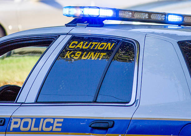 istock K9 police vehicle 187451276
