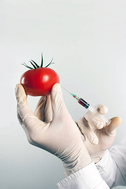 генетическая модификация - injecting healthy eating laboratory dna стоковые фото и изображения
