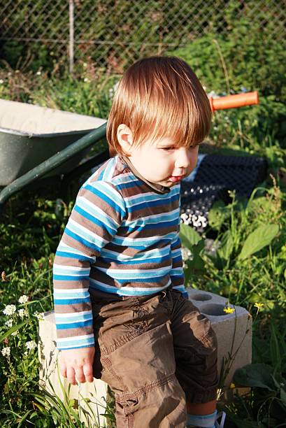 little boy in the garden stock photo
