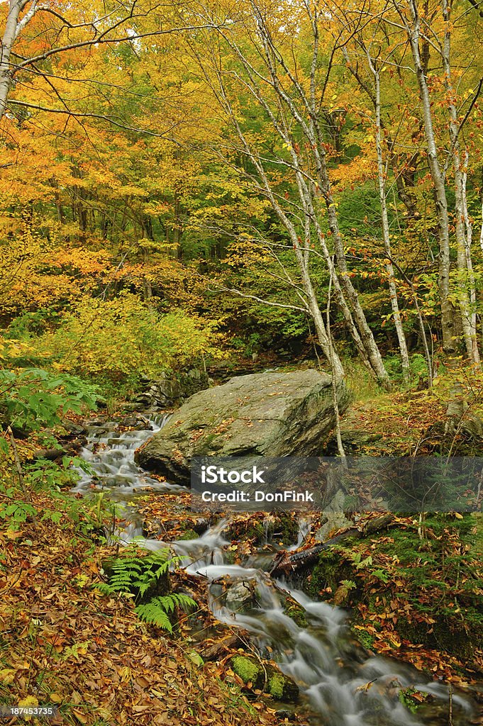 Vermont in the fall A small creek flowing thru the fall colors Autumn Stock Photo