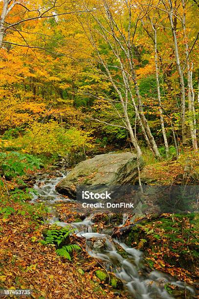 Vermont In The Fall Stock Photo - Download Image Now - Autumn, Autumn Leaf Color, Colors