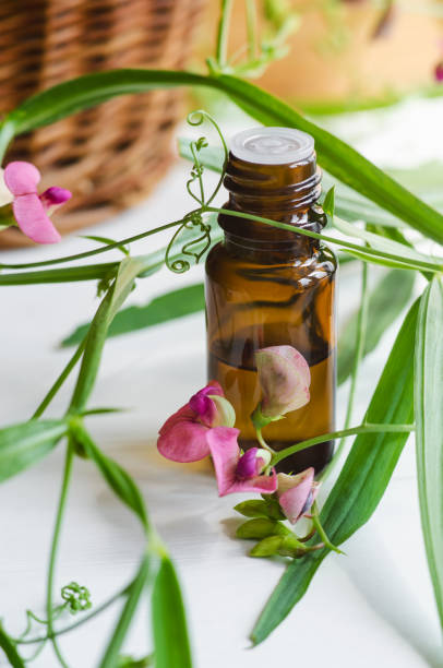 istock Small bottle with essential oil. Aromatherapy and herbal medicine concept. 1874543264