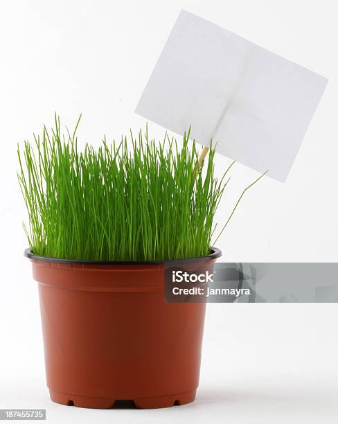 Pano Grass Stock Photo - Download Image Now - Freshness, Grass, Nature