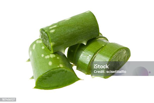 Aloe Vera Stock Photo - Download Image Now - Aloe, Aloe Vera Gel, Alternative Medicine