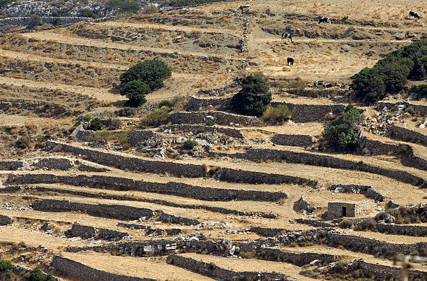 istock country of paros 187456664