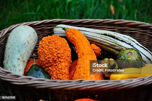 Kürbisse Im Gras Für Thanksgiving Stockfoto und mehr Bilder von Acorn-Kürbis - Acorn-Kürbis, Bauholz-Brett, Beere - Obst