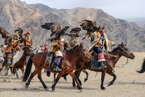 A group of traditional kazakh eagle hunters holding their golden eagles on horseback with a heard of horses running in the background. Ulgii, Mongolia.