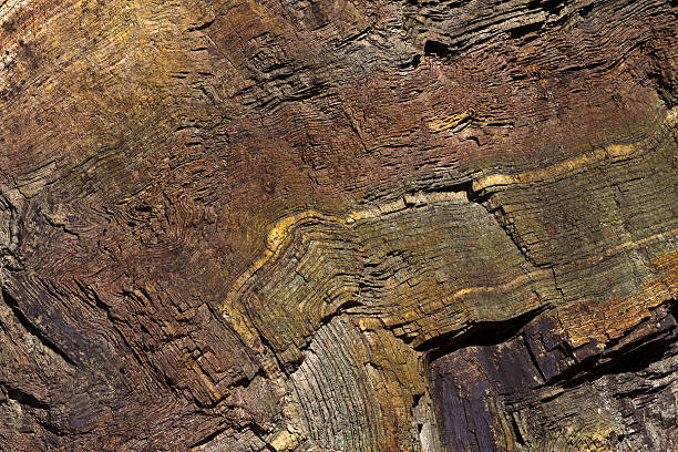 folded chert layers, Oregon coast folded layers of sedimentary chert, Rainbow Rock, Brookings, Oregon syncline stock pictures, royalty-free photos & images