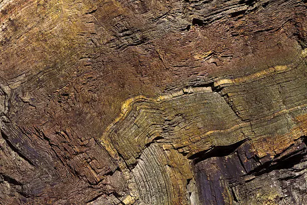 Photo of folded chert layers, Oregon coast