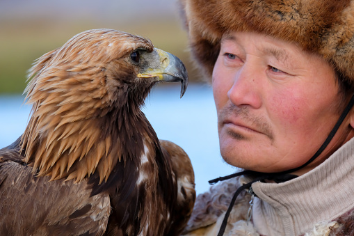 A Kazakh eagle hunter looking lovingly at his Golden Eagle at the Sagsai Golden Eagle Festival held on 17th-18th September 2023, near the small town of Sagsai, in the Bayan-Ulgii province of Western Mongolia. Set in the Altai Mountain range, the nomadic eagle hunters, dressed in traditional fur and embroidered clothing, gather to compete with their eagles, in various competitions that show the skill and bond between the hunter and their eagle.