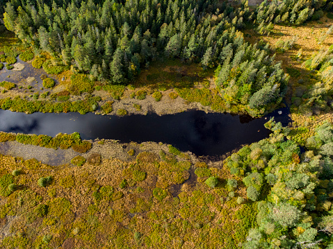 small river in sweden, from above