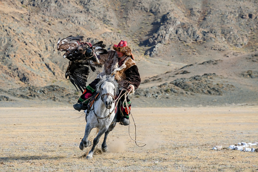An eagle hunter competing, with his horse, at the Sagsai Golden Eagle Festival held on 17th-18th September 2023, near the small town of Sagsai, in the Bayan-Ulgii province of Western Mongolia. Set in the Altai Mountain range, the nomadic eagle hunters, dressed in traditional fur and embroidered clothing, gather to compete with their eagles, in various competitions that show the skill and bond between the hunter and their eagle. The hunter's eagle, has just landed on his arm having been called to return to him.