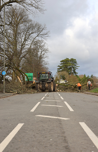 Workmen and  tree surgeons clearing a fallen tree blocking a main road out of the Cotswold town of Cirencester, England after a stormy December evening.