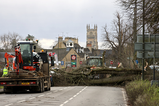 Workmen clearing a fallen tree blocking a main road out of the Cotswold town of Cirencester, England after a stormy December evening.