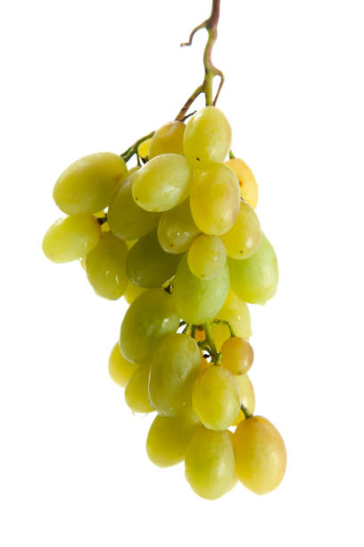 istock Bunch of organic green grapes isolated on white background 1874598656