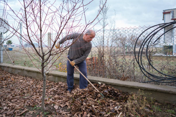 istock Mature man using rake and wheelbarrow to collect fallen autumn leaves in backyard 1874605749
