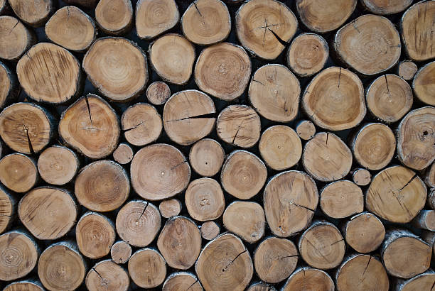 istock Old wood pole texture taken from the front view 187461233
