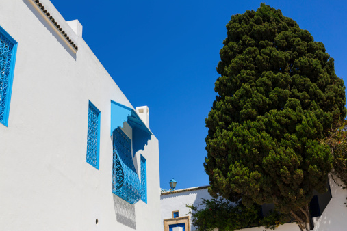 Old arabic town in Tunisia - Sidi Bu Said