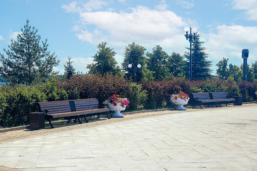 Two wooden benches among the bushes in the summer city park