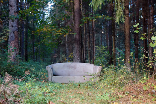 couch in the autumn forest