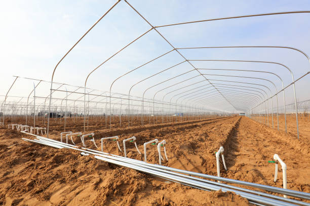 Greenhouse shed skeleton and water supply pipeline
