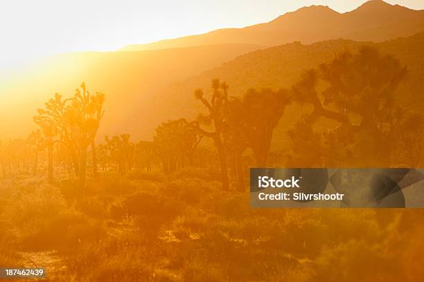 Atardecer En El Parque Nacional Joshua Tree California Foto de stock y más banco de imágenes de Belleza