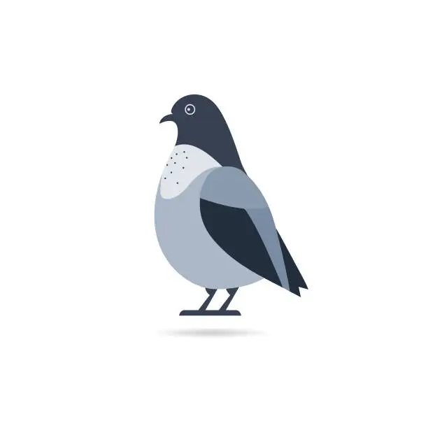 Vector illustration of Cartoon pigeon standing