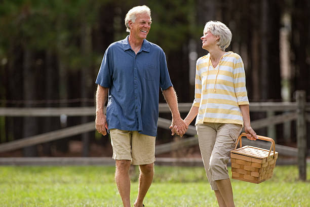 istock Cheerful Senior Couple Holding Hands At Picnic 187462850