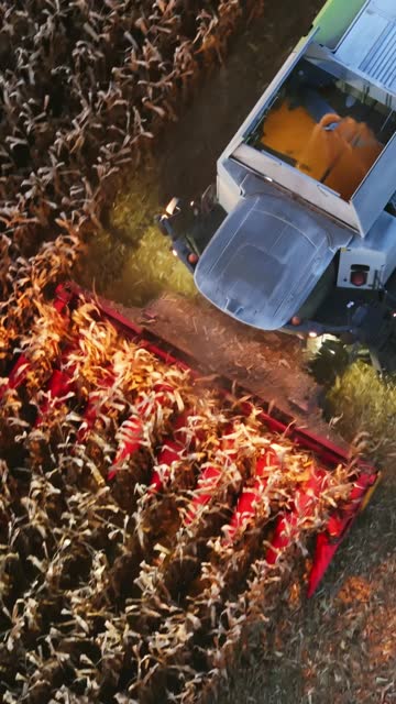 AERIAL Drone shot of Combine Harvester Harvesting Corn Crops on Field at Dusk