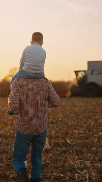 SLO MO Father Carrying Son on Shoulders and Watching Combine Harvesting Corn Crops on Field at Sunset