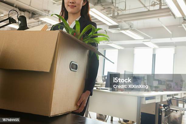 Young Businesswoman Carrying A Box In An Office Stock Photo - Download Image Now - Moving Office, Office, Relocation