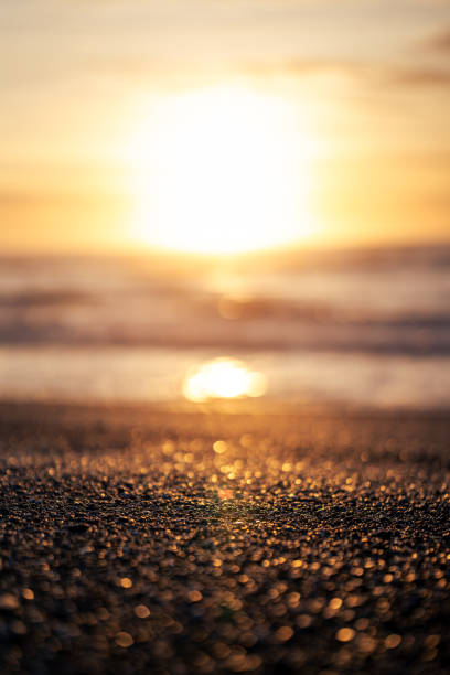 minimalistic seascape in summer at sunset. beach sea and horizon. purity in nature in evening light