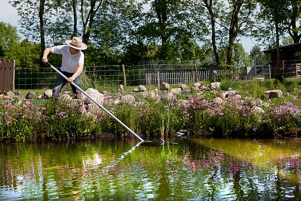 gardener with straw hat cleans pond gardener with straw hat cleans pond with a net, swimming pond with flowering shore planting and field stones in the background water garden stock pictures, royalty-free photos & images