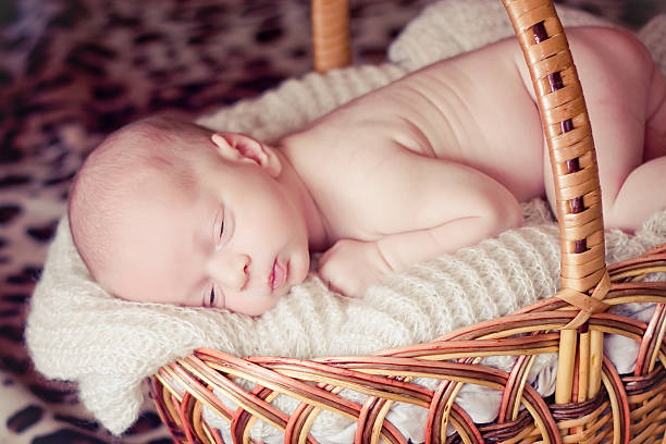 istock Newborn Baby Sleeps in Basket 187469290
