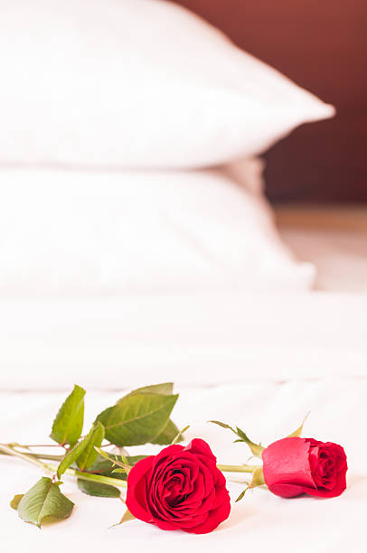 istock Roses on the bed with pillows background 187470677