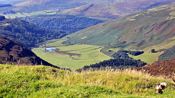 istock River Cloghoge and its valley 187470978