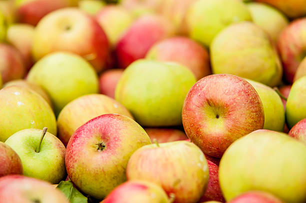 istock Freshly harvested colorful crimson crisp apples 187471579