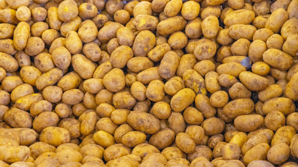 mazzo di patate - raw potato farmers market market stall vegetable foto e immagini stock