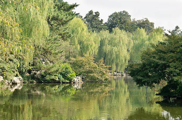 Amazing landscape found in China
